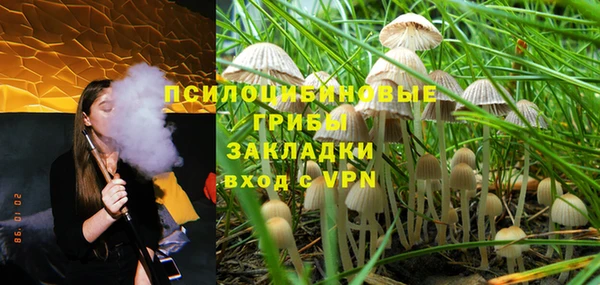 ПСИЛОЦИБИНОВЫЕ ГРИБЫ Арсеньев