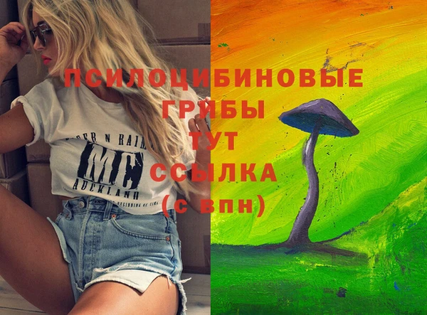 ПСИЛОЦИБИНОВЫЕ ГРИБЫ Арсеньев